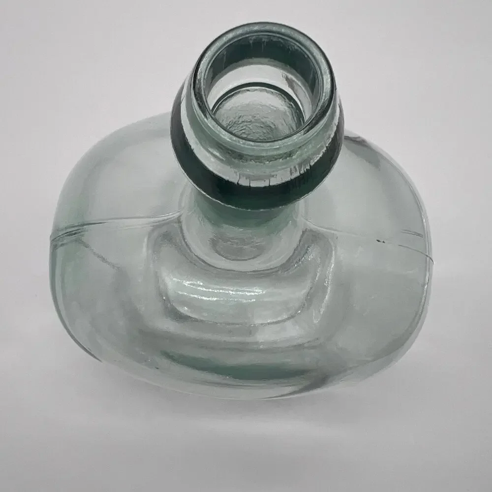 NWOT Spanish Glass Bottle Vases - Birch Lane 8x10